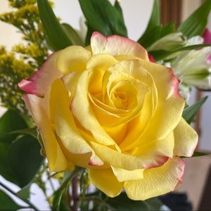 Meet your Posher, Allison